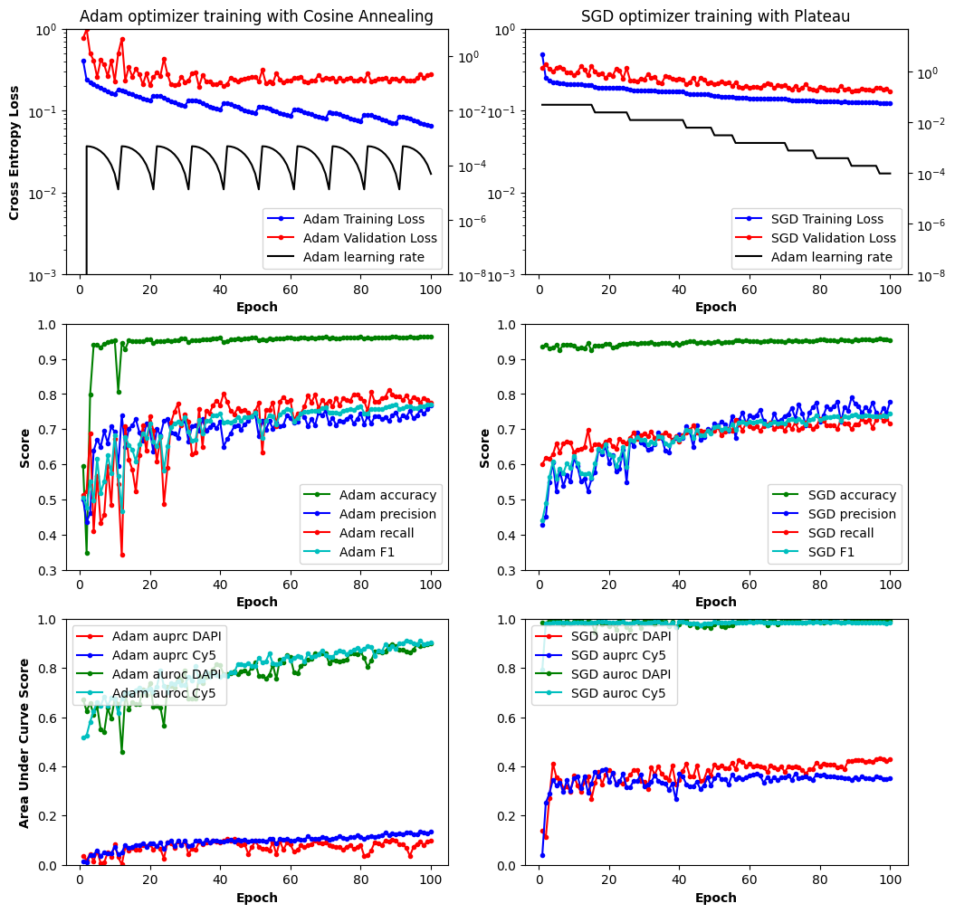 Comparison of Adam and Stochastic Gradient Descent. While Adam with Cosine Annealing had better training loss scores, the validation and precision-recal area under the curve scores were not better than Stocastic Gradient Descent with Reduced Learning Rate on Plataeu.